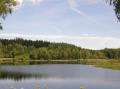 AU BORD DU LAC DE VASSIVIERE (87)