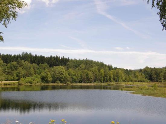 AU BORD DU LAC DE VASSIVIERE (87)