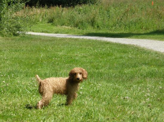 A BOURGBARRE LE 21 JUIN 2009