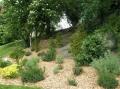 LE JARDIN DES PLANTES DE SAUMUR
