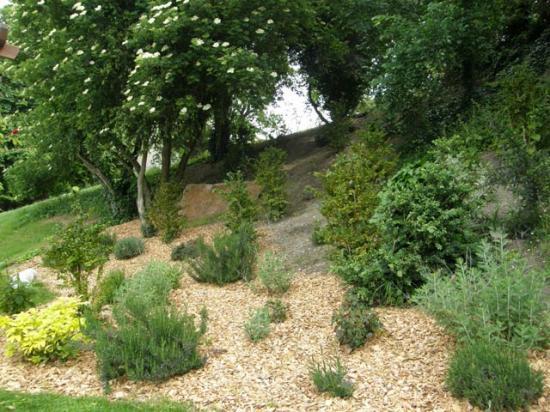 LE JARDIN DES PLANTES DE SAUMUR