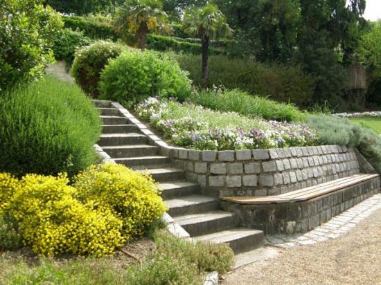 LE JARDIN DES PLANTES DE SAUMUR