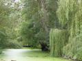 LA VENISE VERTE EN SAUMUROIS