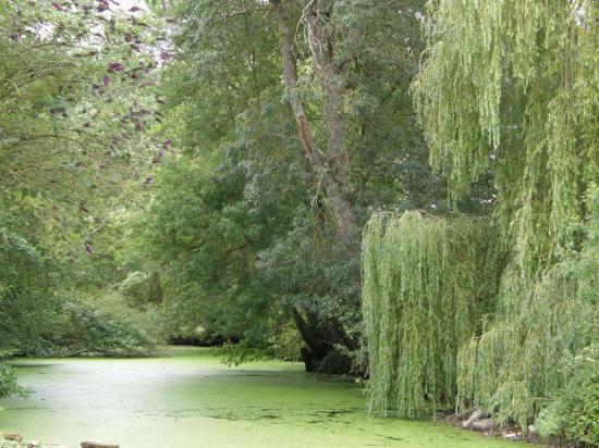 LA VENISE VERTE EN SAUMUROIS