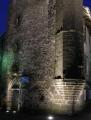 VISITE DE SALERS (15)