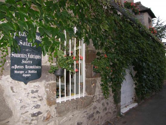VISITE DE SALERS (15)