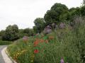 LE JARDIN DES PLANTES DE SAUMUR