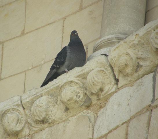 LE PRIEURE ST LEONARD DE L'ILE BOUCHARD (37)