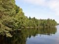 SUR L'ILE DE VASSIVIERE