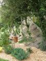 LE JARDIN DES PLANTES DE SAUMUR