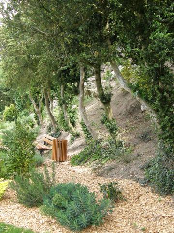 LE JARDIN DES PLANTES DE SAUMUR