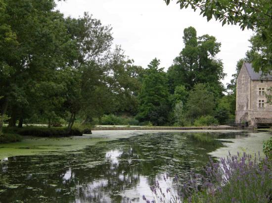 LA VENISE VERTE EN SAUMUROIS