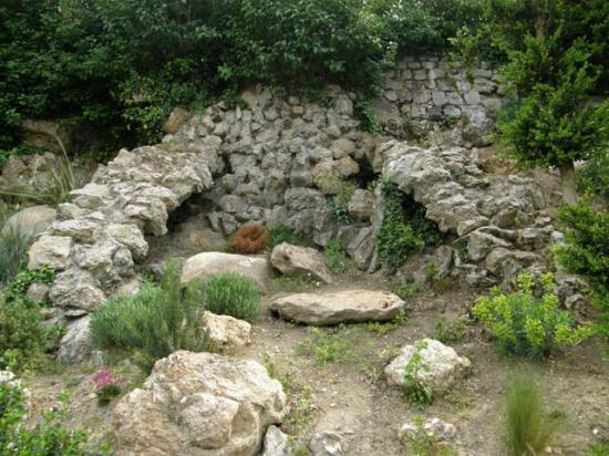 LE JARDIN DES PLANTES DE SAUMUR
