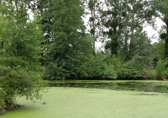 LA VENISE VERTE EN SAUMUROIS
