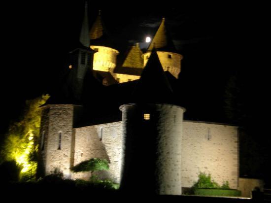 LE CHATEAU DE VAL A LANOBRE (15)