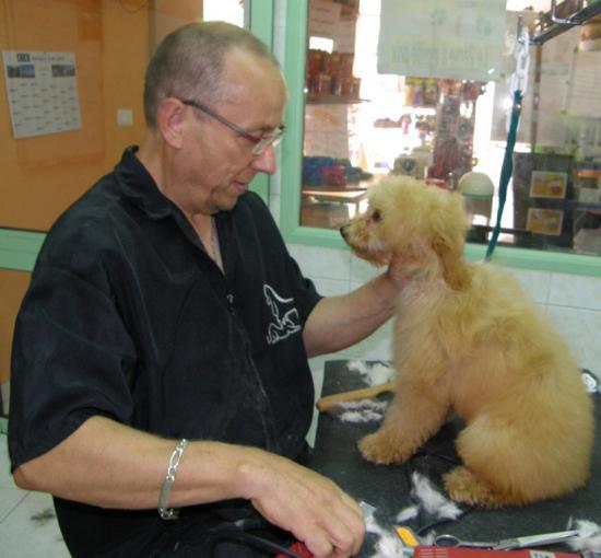 PREMIER TOILETTAGE D'EDEN CHEZ CANI-COIFF