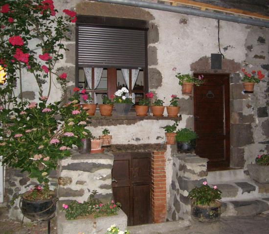 VISITE DE SALERS (15)