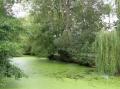 LA VENISE VERTE EN SAUMUROIS