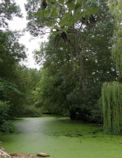 LA VENISE VERTE EN SAUMUROIS
