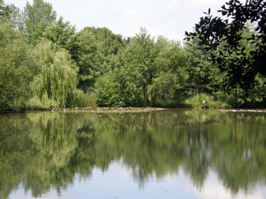 LA FETE DES PERES A BOURGBARRE