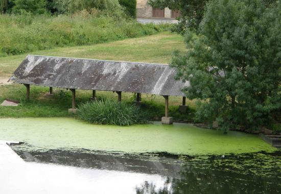 LA VENISE VERTE EN SAUMUROIS