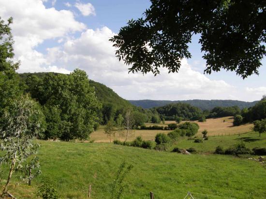 VISITE CHEZ LES COUSINES GARDY DE TREMOUILLE (15)