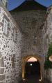 VISITE DE SALERS (15)