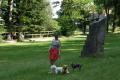 SUR L'ILE DE VASSIVIERE