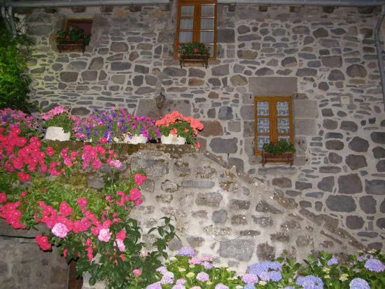 VISITE DE SALERS (15)